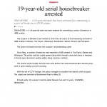 19-year-old serial housebreaker arrested